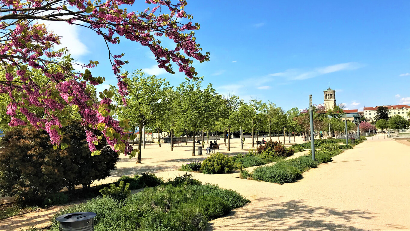 Le paysage verdoyant du Champs de Mars à Valence, un cadre agréable pour un investissement locatif Valence, alliant nature et charme urbain