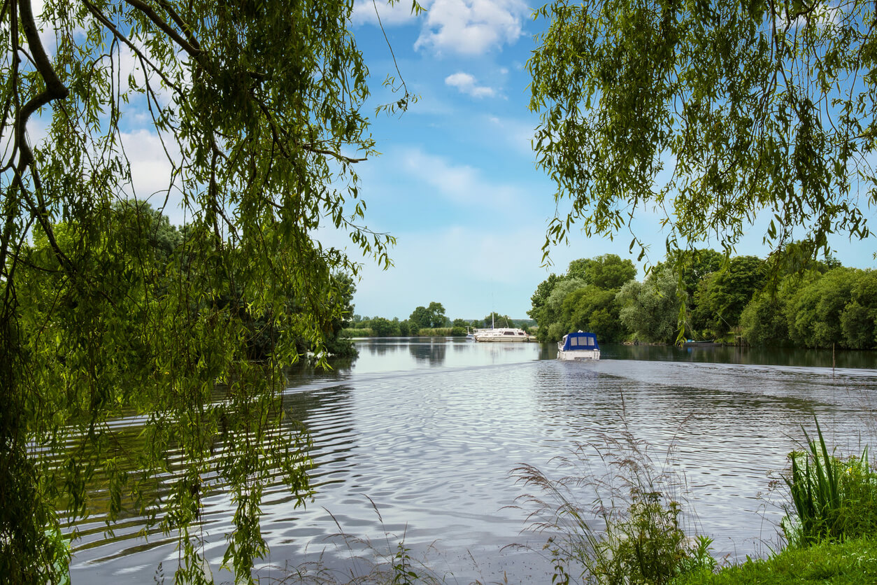 Image représentant les rivières et forêts de Redon, un cadre idéal pour un investissement locatif à Redon, offrant tranquillité et nature pour les futurs locataires